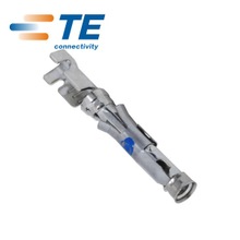 TE/AMP Connector 1-66100-9