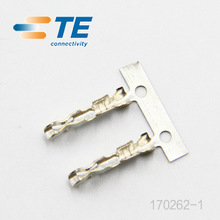 TE/AMP Connector 170262-1