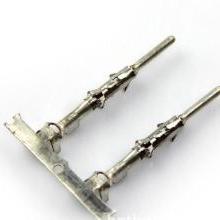 TE/AMP Connector 1703013-1