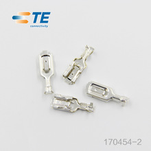 TE/AMP Connector 170454-2