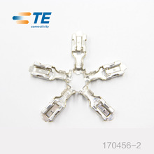 TE/AMP Connector 170456-2