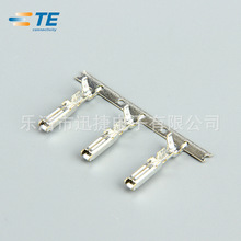 TE/AMP Connector 173630-1