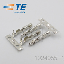 TE/AMP Connector 1924955-1