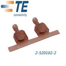 TE/AMP Connector 2-520102-2