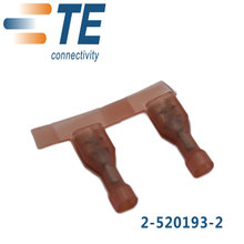 TE/AMP Connector 2-520193-2