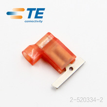 TE/AMP Connector 2-520334-2