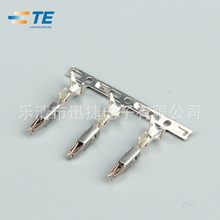 TE/AMP Connector 962876-2