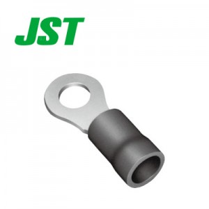 JST कनेक्टर FV2-10