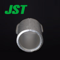 JST Connector R100-12