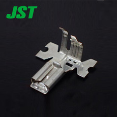 JST Connector SFPS-41T-P187